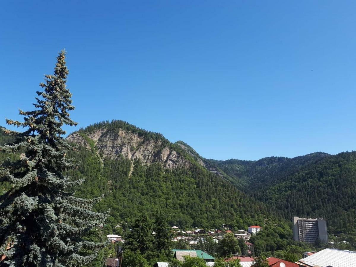 House Lia Hotel Боржоми Екстериор снимка